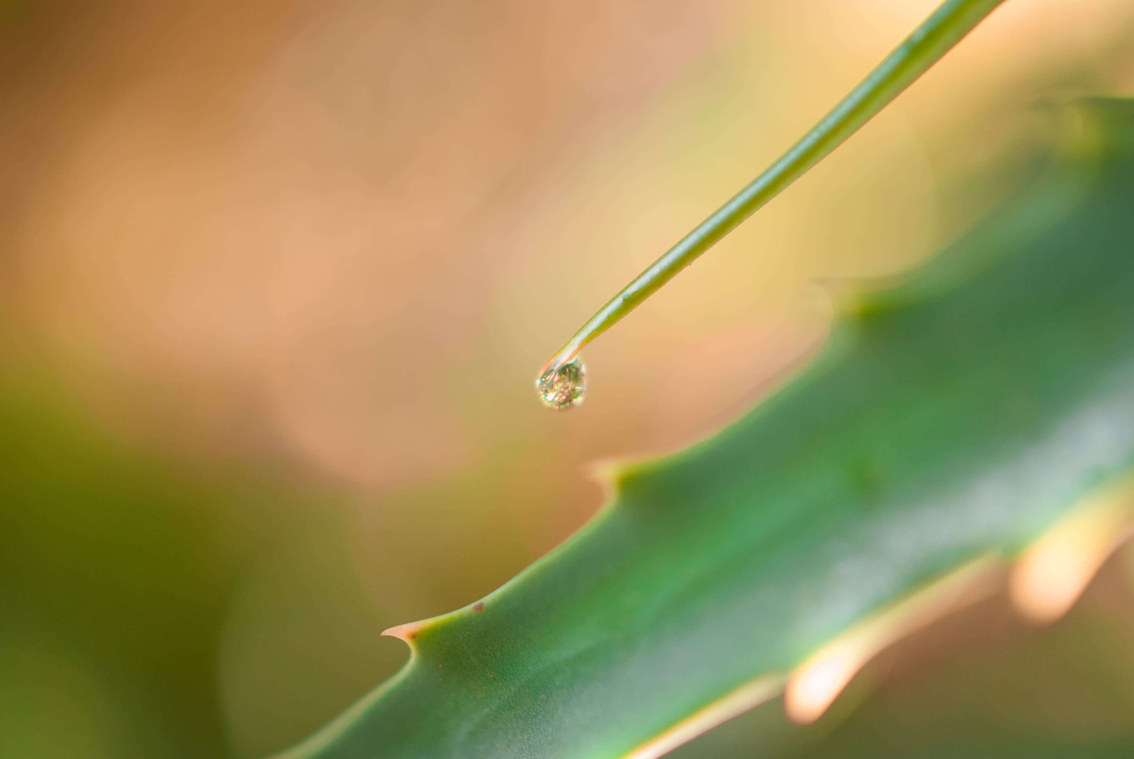Water droplets